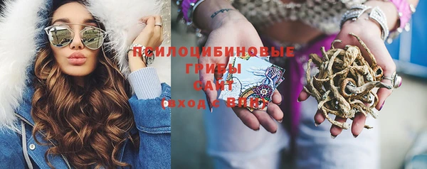 гидропоника Заводоуковск