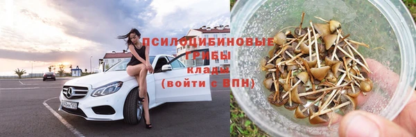 стаф Заволжье