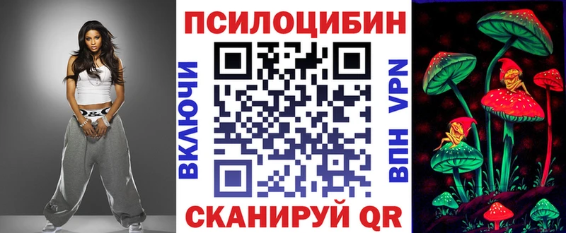 Купить закладки  Катайск  Псилоцибиновые грибы GOLDEN TEACHER 